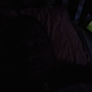 Meet your Posher, Gucci